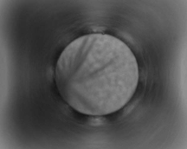 X0000092030321200710041106