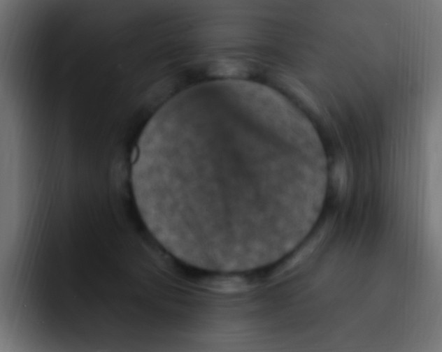 X0000092030322200710041106