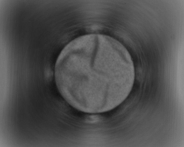 X0000092030324200710041106