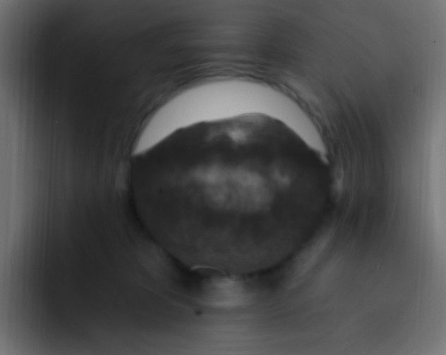 X0000092030325200710041106