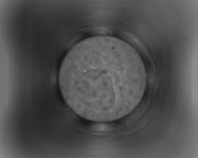 X0000092030326200710041106