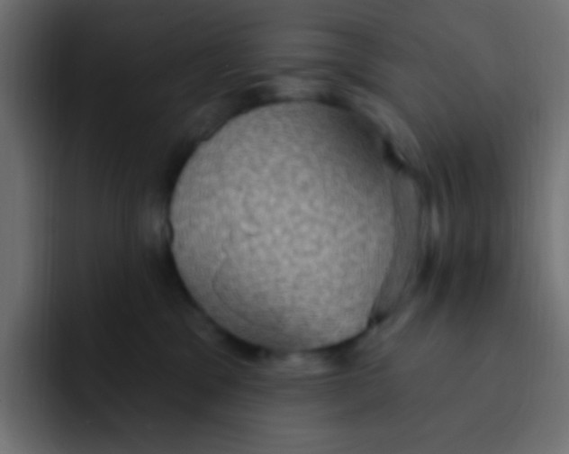 X0000092030329200710041106