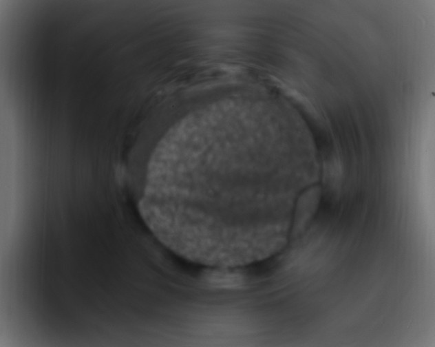 X0000092030331200710041106