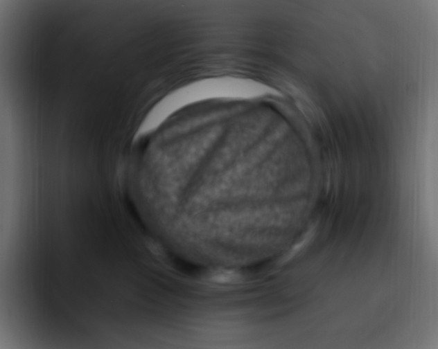 X0000092030333200710041106