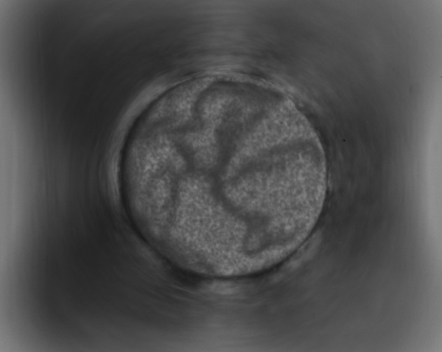 X0000092030341200710041105