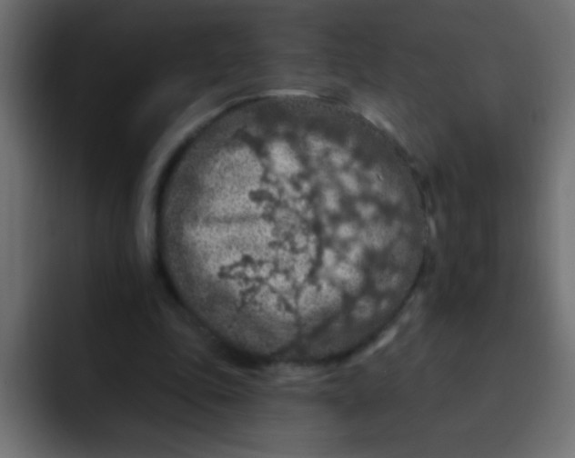 X0000092030343200710041105