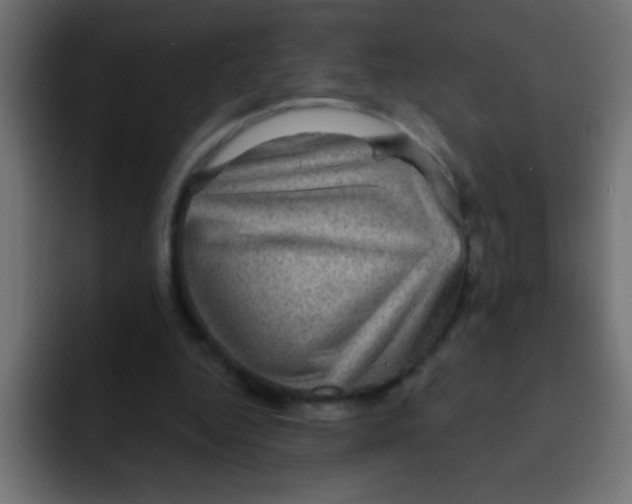 X0000092030344200710041105