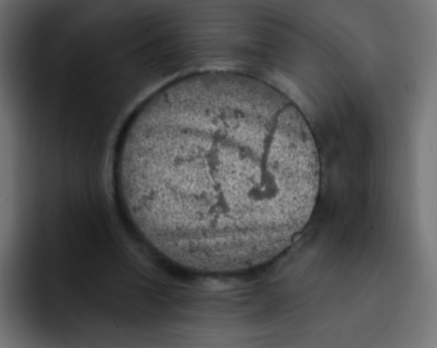 X0000092030346200710041105