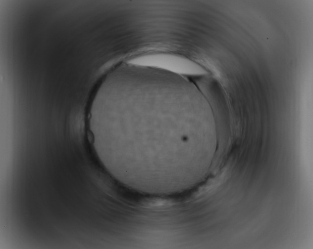 X0000092030348200710041105