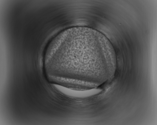 X0000092030350200710041105