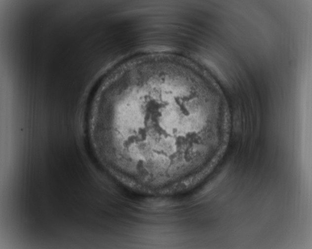 X0000092030351200710041105