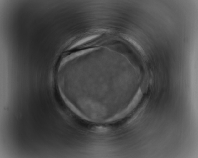 X0000092030352200710041105