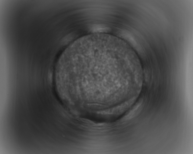 X0000092030357200710041105