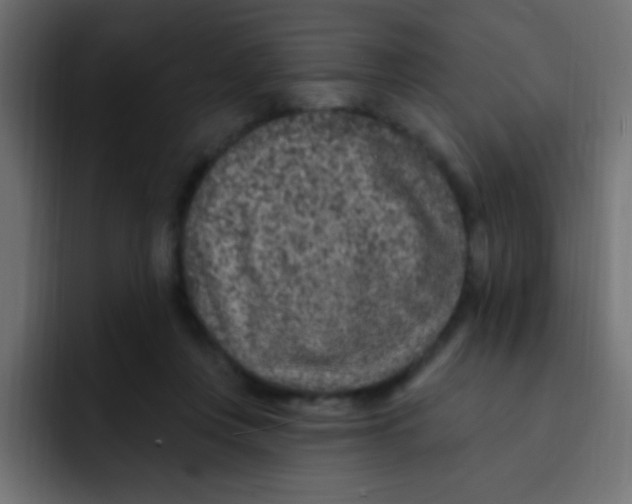 X0000092030359200710041105