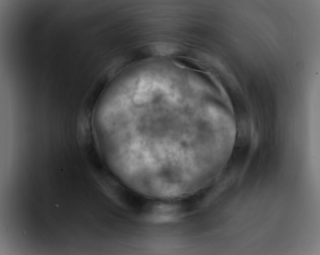 X0000092030360200710041105