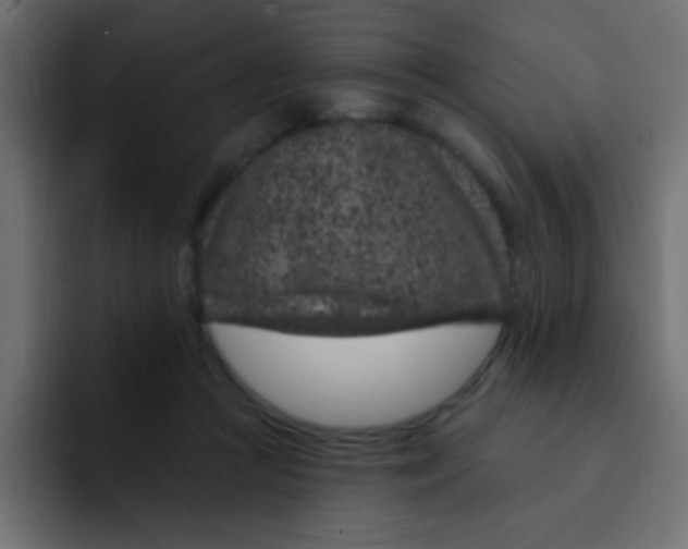 X0000092030361200710041105