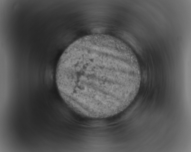 X0000092030363200710041105