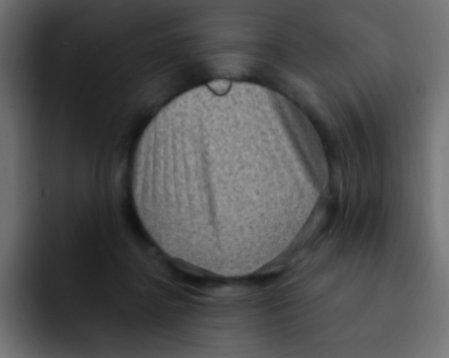 X0000092030364200710041105