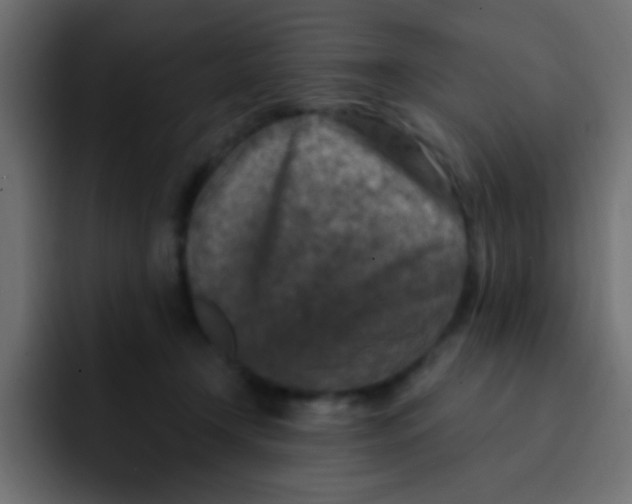 X0000092030366200710041105