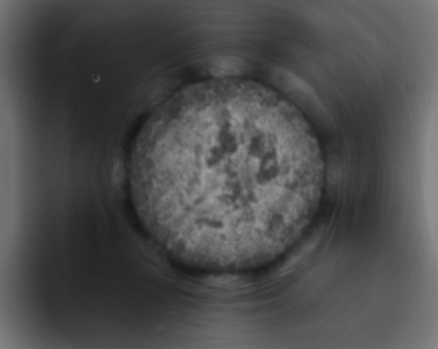 X0000092030367200710041105