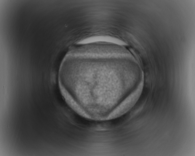 X0000092030368200710041105