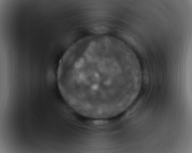 X0000092030371200710041105