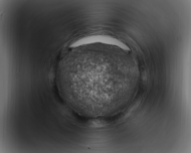 X0000092030372200710041105