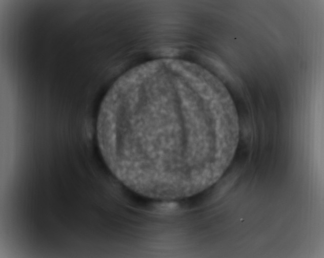 X0000092030374200710041106