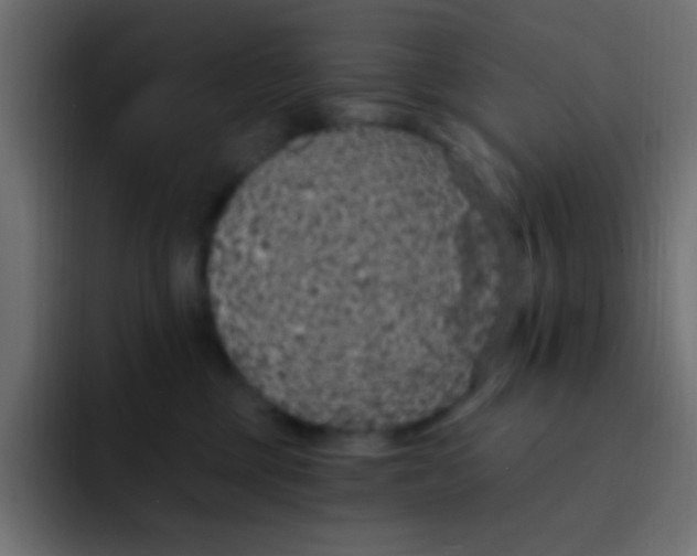 X0000092030377200710041106