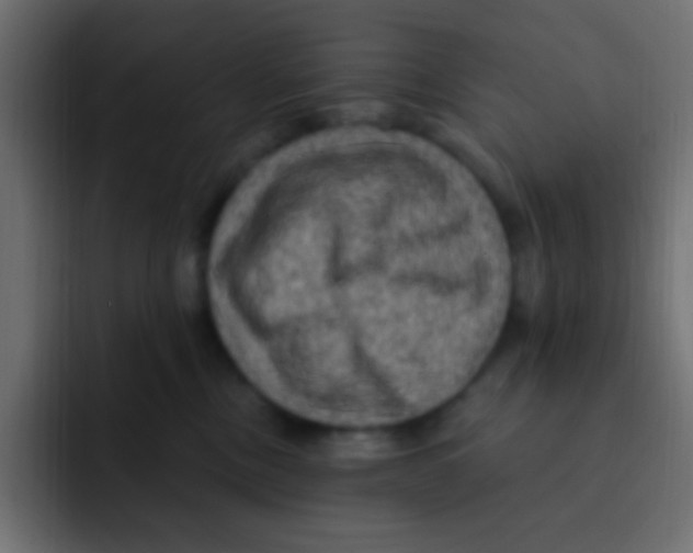 X0000092030378200710041106