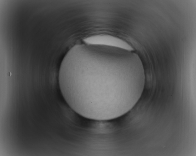 X0000092030379200710041106