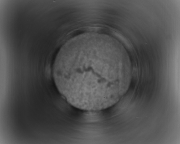 X0000092030381200710041106