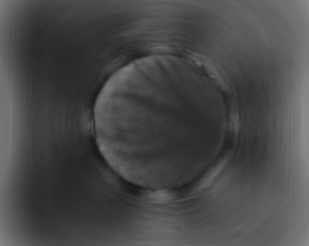 X0000092030383200710041106