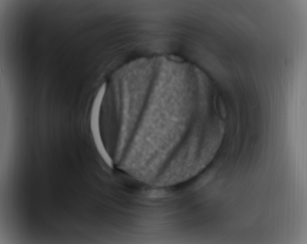 X0000092030384200710041106