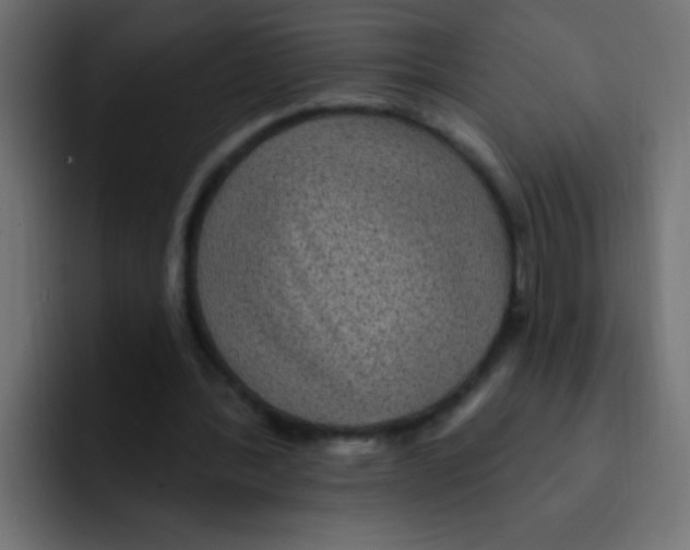 X0000092030388200710041105