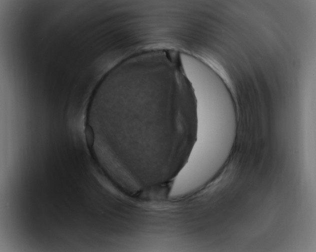 X0000092030389200710041105