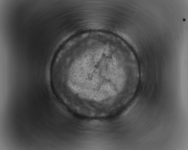 X0000092030390200710041105