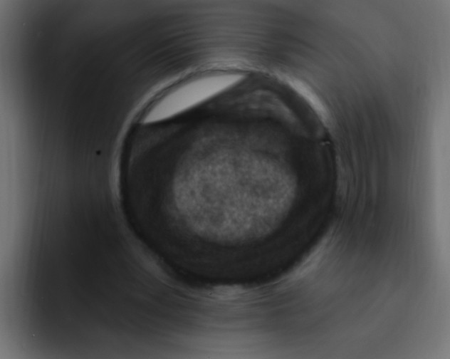 X0000092030391200710041105