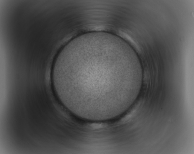 X0000092030394200710041105