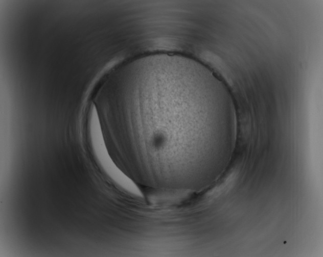 X0000092030395200710041105