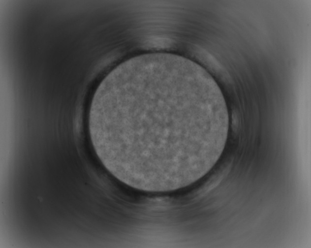 X0000092030396200710041105