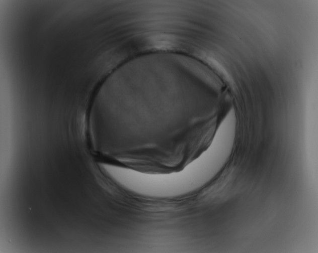 X0000092030397200710041105