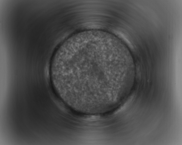 X0000092030398200710041105