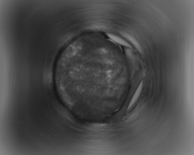 X0000092030399200710041105