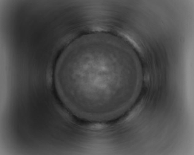 X0000092030402200710041105