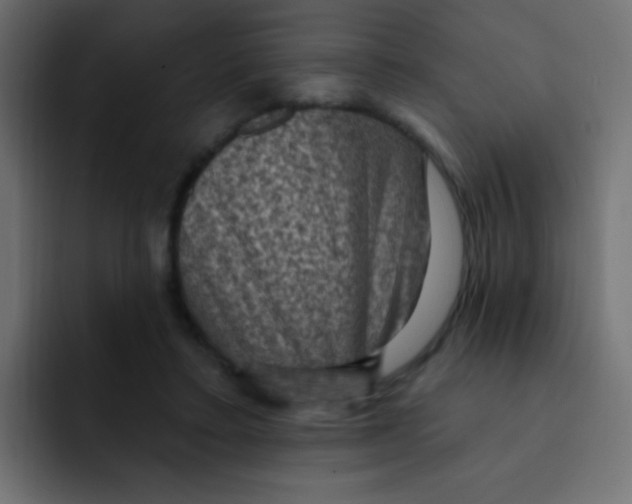 X0000092030403200710041105