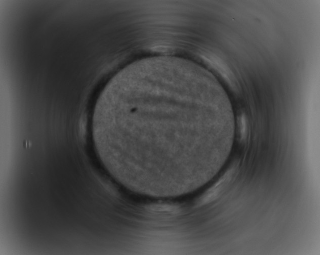 X0000092030404200710041105