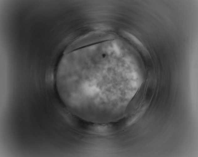 X0000092030405200710041105