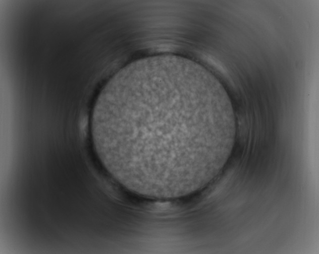 X0000092030406200710041105