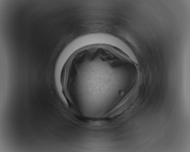 X0000092030407200710041105